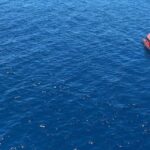 Bombeiros resgatam corpo a 15 km da costa no litoral Norte de SC