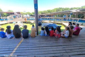 Crianças atendidas pelo Cras Limeira visitam Projeto Tamar em Florianópolis