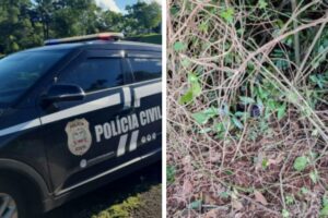 Corpo sem cabeça é encontrado em área de mata no Oeste catarinense