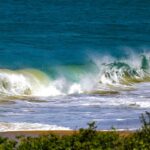 Curtindo o Carnaval na praia? Saiba como está a qualidade d’água no litoral catarinense