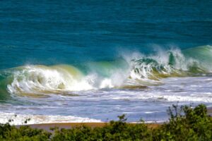 Curtindo o Carnaval na praia? Saiba como está a qualidade d’água no litoral catarinense
