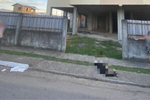 Vítima de maus-tratos, cão é encontrado morto em Itajaí