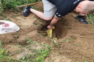 Homem é preso após matar cães com golpes de machado em Timbó