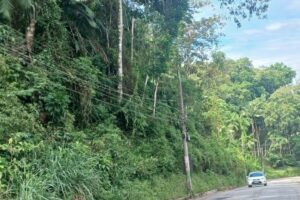 Quedas de energia após chuvas geram reclamações nos bairros Souza Cruz e Azambuja