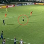 Árbitro aciona protocolo contra racismo em Santa Catarina x Barra pelo Catarinense