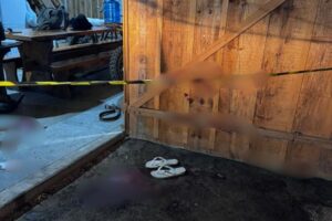 Mulher morre após ser atingida por disparos em Rio Negrinho (SC)