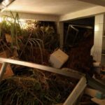 Chuvas fortes deixam 64 mortos em Juiz de Fora e Ubá (MG)