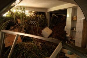 Chuvas fortes deixam 64 mortos em Juiz de Fora e Ubá (MG)