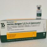 SC inicia distribuição de vacinas contra a dengue a profissionais de saúde