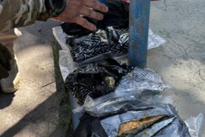 VÍDEO: PRF intercepta tráfico de “supermaconha” na BR-101 e prende motorista