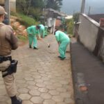 Detentos de Blumenau vão limpar ruas, roçar e construir abrigos para cães