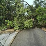Brusque registra 12 ocorrências após chuva e Defesa Civil mantém alerta