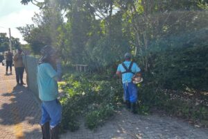 Serviços de roçada e limpeza urbana seguem em ritmo acelerado