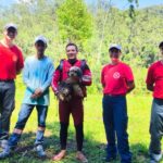 VÍDEO: Bombeiros resgatam cadela presa entre rio e barranco em Botuverá