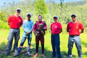 VÍDEO: Bombeiros resgatam cadela presa entre rio e barranco em Botuverá