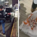 Polícia Civil apreende drogas e prende suspeito por tráfico em Brusque