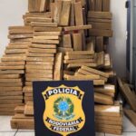 VÍDEO: PRF apreende mais de 650 quilos de maconha na BR-101 em SC