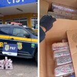 PRF intercepta 20 quilos de maconha na BR-101
