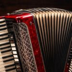 Justiça mantém condenação de homem por furtar acordeon do patrão em Brusque