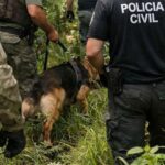Polícia localiza saco plástico com partes de corpo humano em Major Gercino