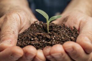 Guabiruba abre inscrições para Campanha do Adubo e Ureia 2026