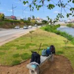 Tapetes de grama são implantados e criam novo espaço de convivência na Beira-Rio