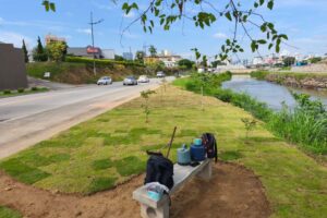 Tapetes de grama são implantados e criam novo espaço de convivência na Beira-Rio