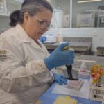 Brusque registra o primeiro caso de dengue de 2026 no bairro Steffen