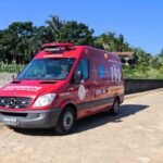 Idoso morre após sofrer mais de 100 picadas de abelhas em SC