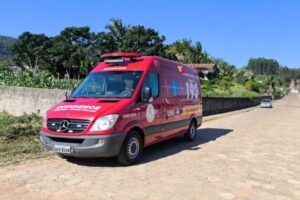 Idoso morre após sofrer mais de 100 picadas de abelhas em SC