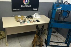 Adolescente envia localização à mãe e é salva de sequestro em SC