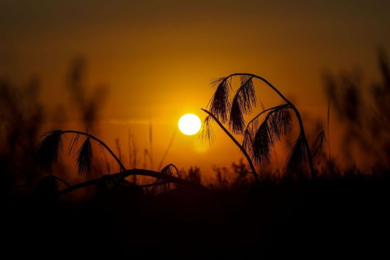 SC tem semana de sol antes da chegada de frente fria e virada no tempo