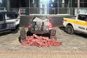 Ação conjunta apreende mais de 300 Kg de maconha na BR-280, em SC; VÍDEO