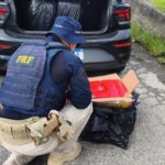 PRF apreende mais de 110 Kg de maconha escondidos em automóvel na BR-101