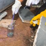 Mais de 250 escorpiões são capturados em condomínio de Biguaçu (SC)