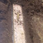 Ossada humana é encontrada em caixão artesanal no Norte de SC