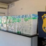 VÍDEO: PRF apreende mais de R$ 2 milhões em celulares de luxo na BR-101 em SC