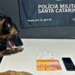 Cão farejador encontra drogas e suspeito é detido em Itajaí