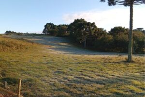 SC registra as menores temperaturas do ano com mínimas abaixo de 0°C