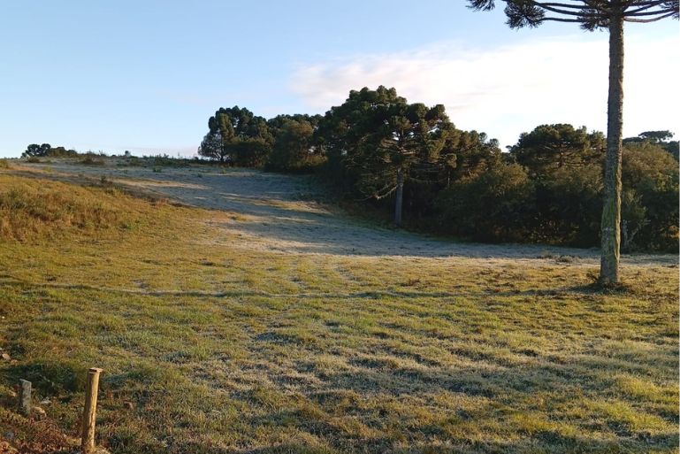 SC registra as menores temperaturas do ano com mínimas abaixo de 0°C