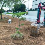 Brusque acelera o ritmo dos serviços urbanos e ultrapassa 1.000 atendimentos em março