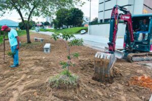 Brusque acelera o ritmo dos serviços urbanos e ultrapassa 1.000 atendimentos em março
