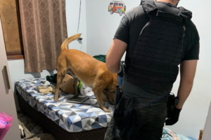 VÍDEO: Alvo ligado à DIC de Brusque é preso em ação contra tráfico e lavagem de dinheiro