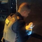 Agentes da PRF salvam recém-nascida engasgada durante a madrugada na 470