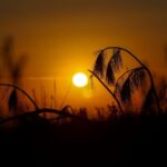 Feriado de Páscoa será de sol e temperaturas próximas dos 30°C em Santa Catarina
