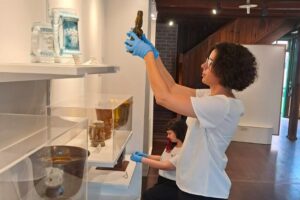 Exposição celebra 160 anos do Clube Caça e Tiro Araújo Brusque