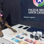 Operação da PM prende oito por tráfico de drogas em Itajaí