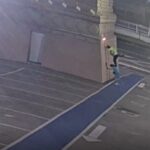 VÍDEO – Estátuas da Havan são alvo de vandalismo em diferentes regiões do país