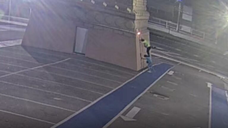 VÍDEO – Estátuas da Havan são alvo de vandalismo em diferentes regiões do país