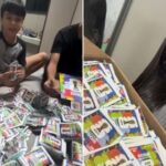 VÍDEO: Família de SC compra 14 mil figurinhas da Copa e vídeo viraliza nas redes